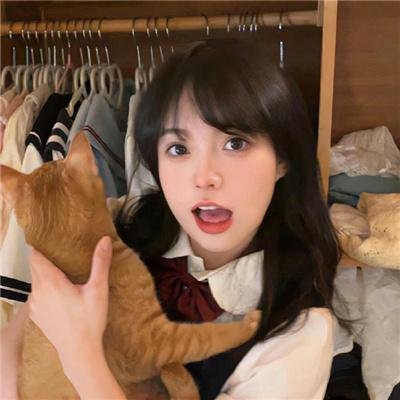 罗宾七侠
